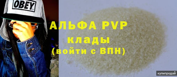 индика Балахна