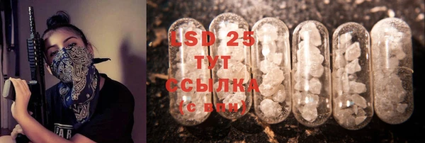 индика Балахна