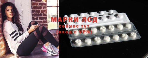 спиды Арсеньев